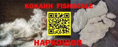 индика Надым