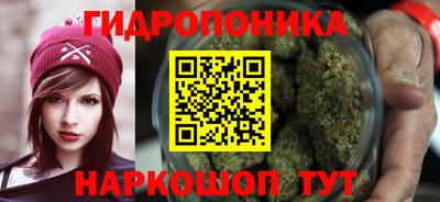 прущие крисы Кимры